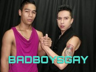 BADBOYSGAY