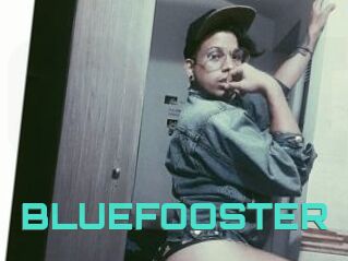 BLUEFOOSTER