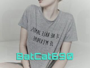 BatCat690