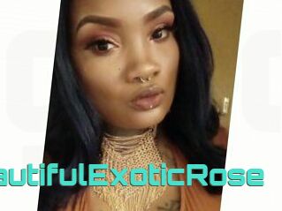 BeautifulExoticRose