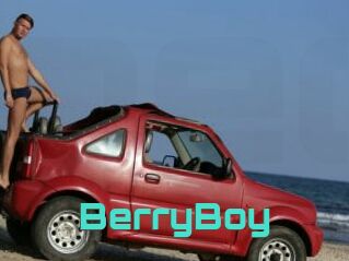 BerryBoy