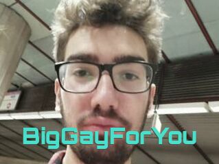 BigGayForYou