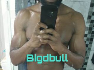 Bigdbull