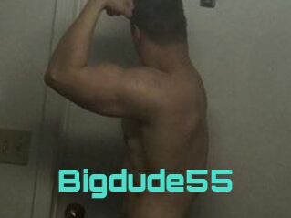 Bigdude55