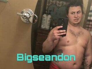 Bigseandon