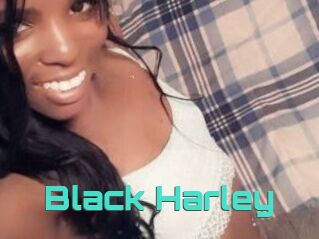 Black_Harley