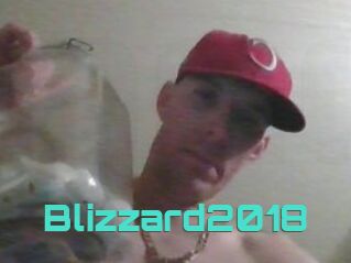 Blizzard2018