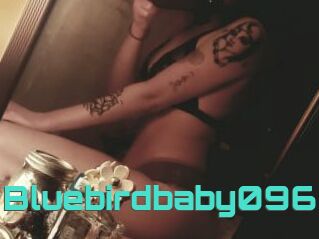 Bluebirdbaby096