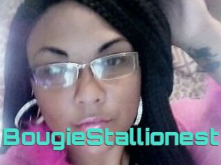 BougieStallionest