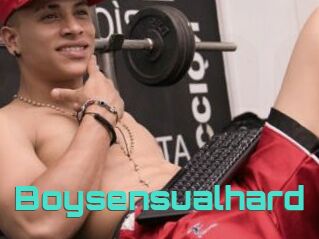 Boysensualhard