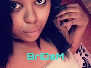 BriDsM