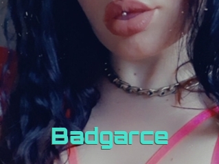 Badgarce