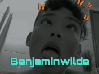Benjaminwilde