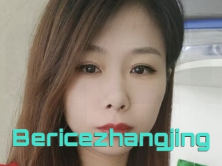 Bericezhangjing