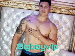 Bigboyvip
