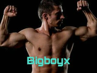 Bigboyx