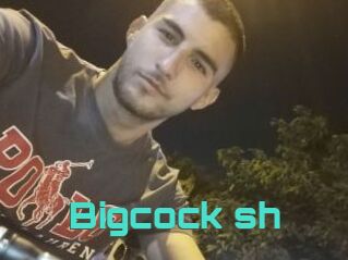 Bigcock_sh