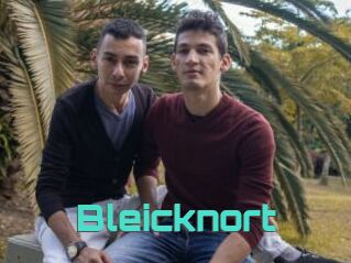 Bleicknort