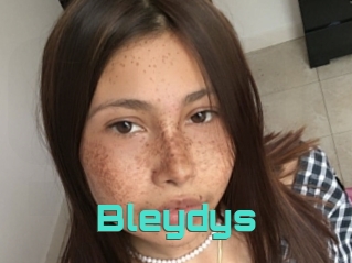 Bleydys