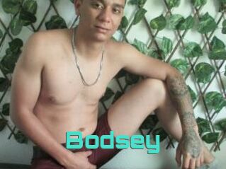 Bodsey