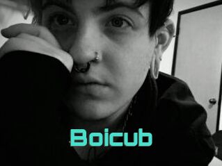 Boicub