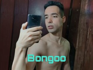 Bongoo