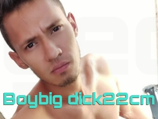 Boybig_dick22cm