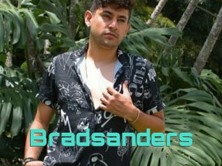 Bradsanders