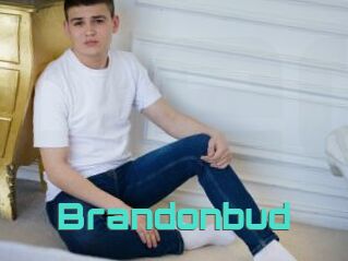 Brandonbud