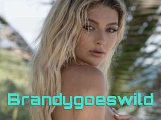 Brandygoeswild