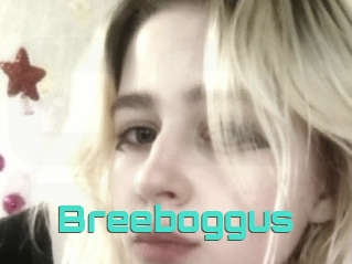 Breeboggus