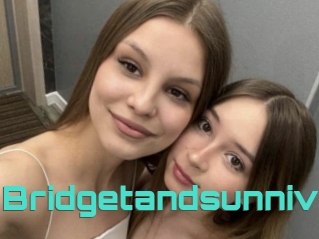 Bridgetandsunniv