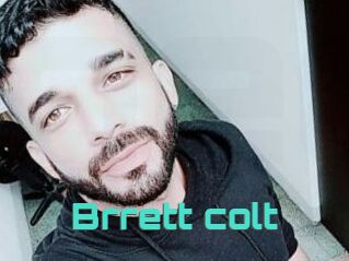Brrett_colt