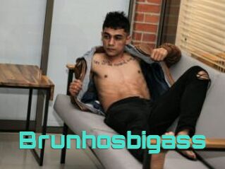 Brunhosbigass