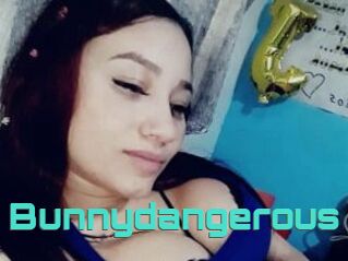 Bunnydangerous
