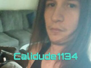 Calidude1134