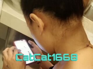CatCat1668