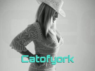Catofyork