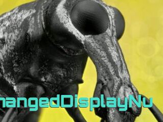 ChangedDisplayNu