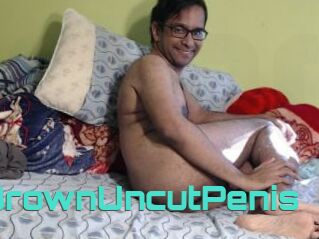 ChubbyBrownUncutPenis
