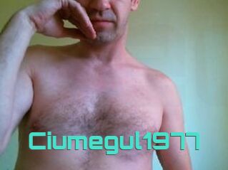 Ciumegul1977