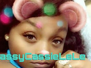 ClassyCassieLeLe