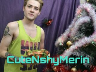 CuteNshyMerin