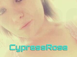 Cypress_Rose