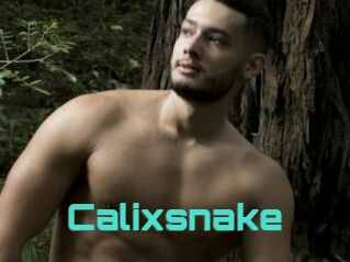 Calixsnake