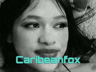 Caribeanfox