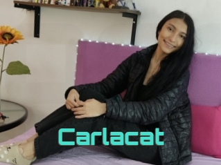 Carlacat