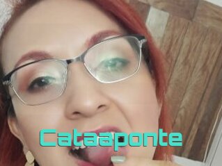Cataaponte