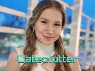 Cateclutter
