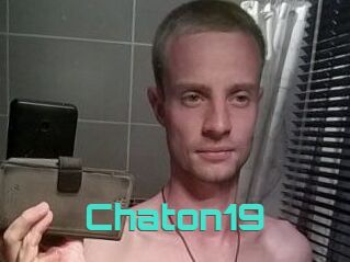 Chaton19